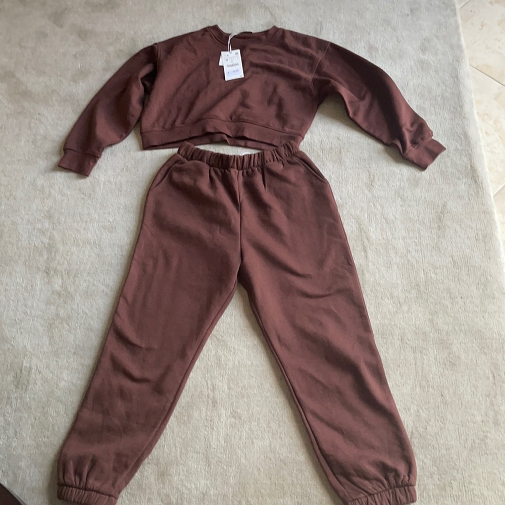Zara cropped jogger set.
